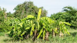 landscape-2.jpg