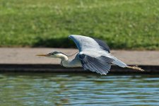 DSC_0782.jpg