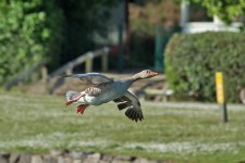 DSC_0865.jpg