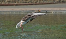 DSC_0869.jpg