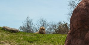 untitled shoot-0094.jpg
