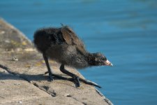 DSC_0727.jpg