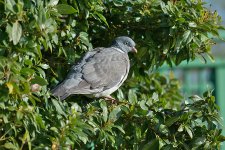 DSC_0734.jpg