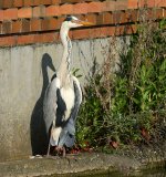 DSC_0835.jpg