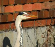 DSC_0840.jpg
