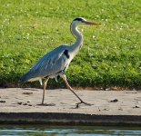 DSC_0764.jpg