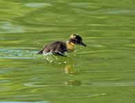 DSC_0883.jpg