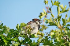 DSC_0689.jpg