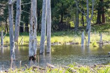 landscape-7011.jpg