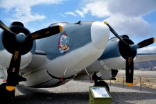 DSC_7333.jpg