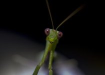 DSC_1797.jpg