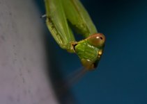 DSC_1809.jpg