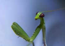DSC_1792.jpg