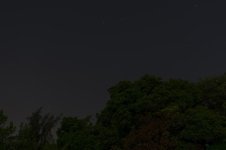 DSC_1811.jpg