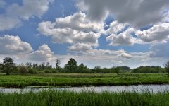 _DSC8814.jpg