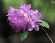 DSC_4766-Edit.jpg