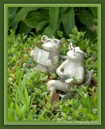 Two Frogs in the Garden.jpg
