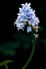_DSC3245.jpg