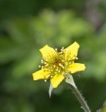 DSC_2216.jpg