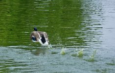 DSC_2152.jpg