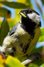 DSC_1638.jpg