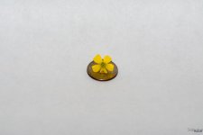 Tiny Flower.jpg