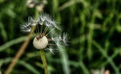 DSC_5475-Edit.jpg