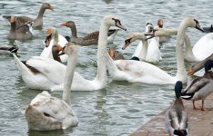 DSC_1118.jpg
