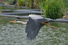 DSC_1177.jpg