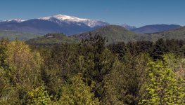 D810#3 N.H. Roadtrip-24-70 HD6a.jpg