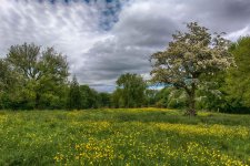 Brookdale park.jpg Brookdale park.jpg