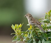 DSC_1269.jpg