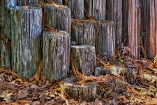 DAH_9267, DAH_9266, DAH_9265-2.jpg