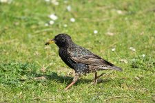 DSC_1378.jpg