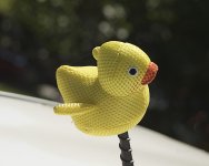 _AAA5215 - Version 2.jpg