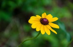 DSC_0796.jpg