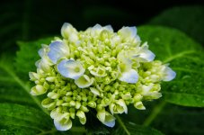 DSC_0780-Edit.jpg