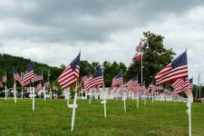 Soddy Daisy- (1000x667).jpg