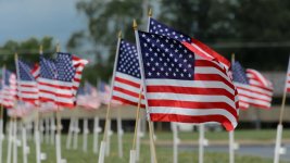 Soddy Daisy-0216 (1000x563).jpg