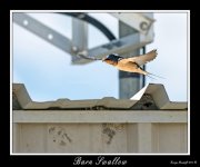 _DSC_7772_Web.jpg