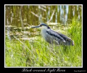_DSC_7845_Web.jpg