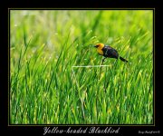 _DSC_7927_Web.jpg