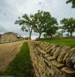 Barns.jpg