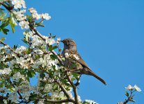 DSC_1396.jpg