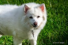 D71_4357-Edit.jpg