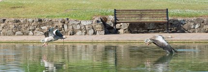 Untitled_Panorama2.jpg