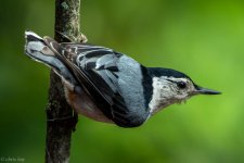 untitled-0938.jpg