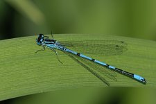 _DSC9181.jpg