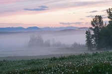 Sunrise at Matts.jpg
