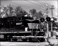 5-23-15 N.Olm  17bw.jpg